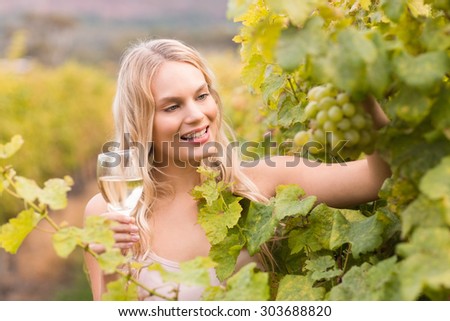 Young happy woman holding a glass of wine and looking at grapes in the grape fields