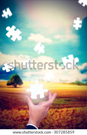 Businessman pointing with his finger against golden fields