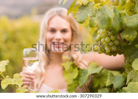 Young happy woman holding a glass of wine and looking at grapes in the grape fields