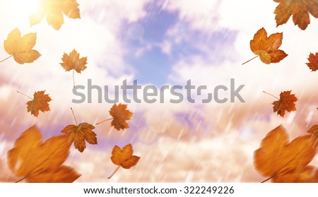 Autumn leaves pattern against blue sky with white clouds