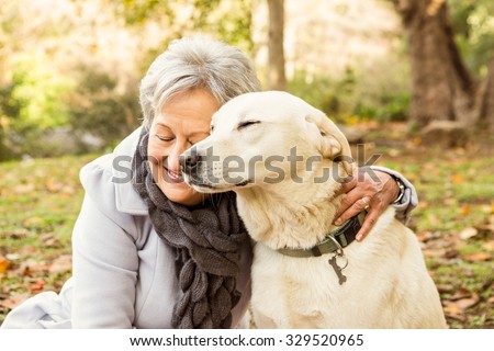 Similar – Image, Stock Photo Calm dog on green grass in countryside
