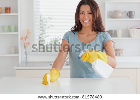 Beautiful female doing the housework while using a spray in the kitchen