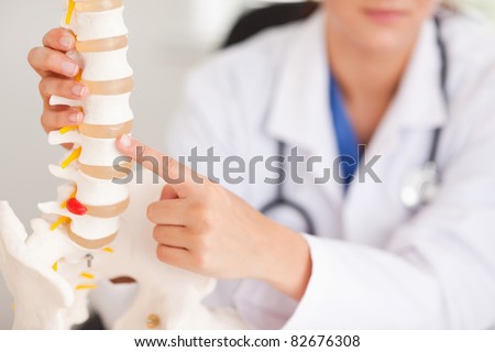 A doctor is pointing at a bone in a spine