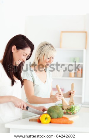 Smiling Women preparing dinner in a kitchen
