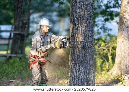 Similar – Image, Stock Photo Cutting trees using an electrical chainsaw in the forest.