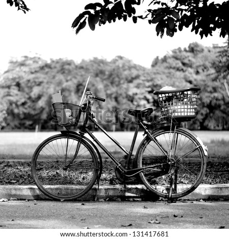 Old bicycle in park, Black and white photography