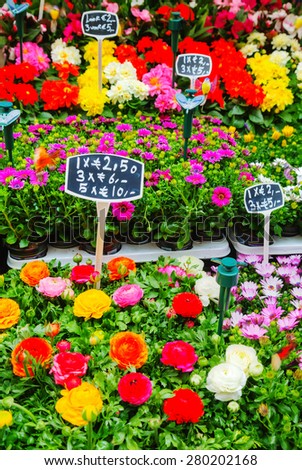 AMSTERDAM - APRIL 17: Stalls at the Floating flower market on April 17, 2015 in Amsterdam, Netherlands. It\'s usually billed as the  world\'s only floating flower market .