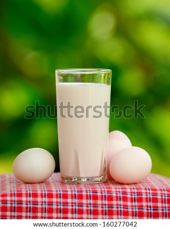 Glass of milk and egg on nature background