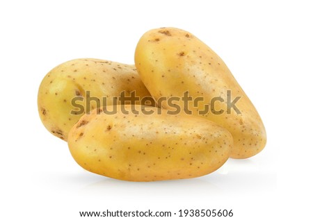 potato isolated on white background 