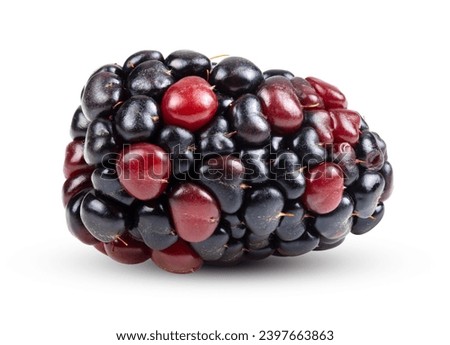 Similar – Image, Stock Photo Background from fresh Blackberries, close up. Lot of ripe juicy wild fruit berries lying on the table