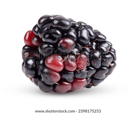Similar – Image, Stock Photo Background from fresh Blackberries, close up. Lot of ripe juicy wild fruit berries lying on the table