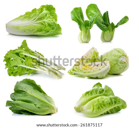 fresh chinese cabbage ,Bok choy, cos , lettuce on white background