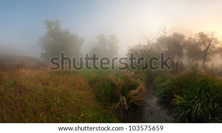 Panorama fog in forest and the stream, landscape