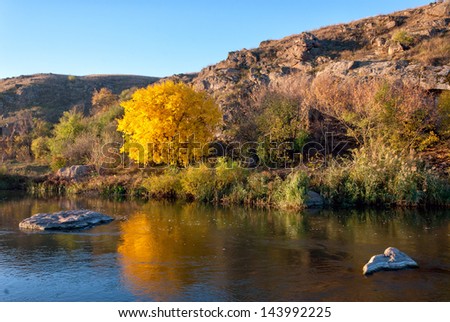 Autumn landscape with river and big yellow tree