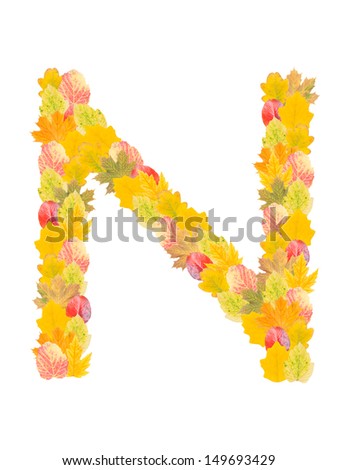 Alphabet Made From Autumn Falling Leaves. Letter N, High Resolution ...