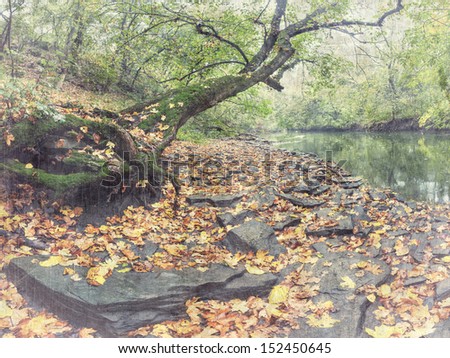 Vintage landscape with river and big tree on the coast covered with yellow foliage