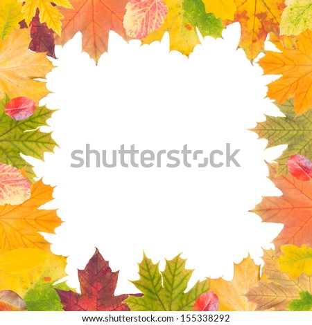 Autumn frame isolated on white, place for your text