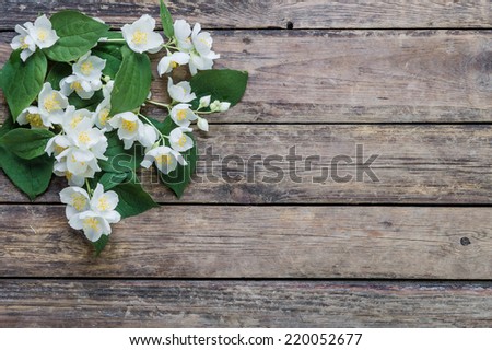 White jasmine flowers on rustic background