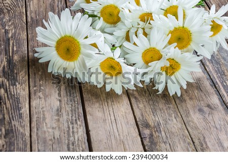 Chamomile flower in rustic style
