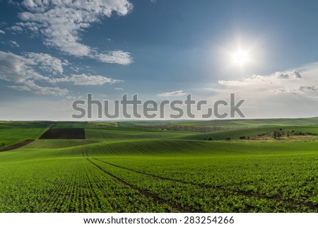 Landscape with green fields on hills and sun, summer view