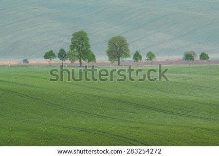 Summer landscape with green fields and trees