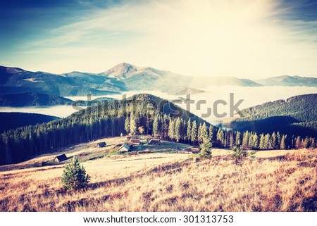 Vintage landscape with forest in mountain and beautiful sky