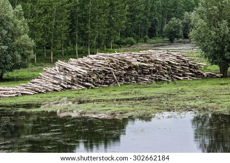 This is close up of big pile of logs in forest. Selective focus
