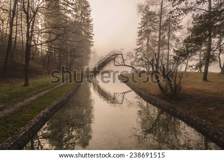 Bridge over a mystic river in Forest. Mist is over the river covering the forest and sun rays are penetrating through. Scenic and atmospheric sunrise on Sobec in Slovenia.