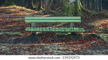 Bench resting place in the forest with sun rays penetrating through the woods.  Lovely resting place in Bohinj.