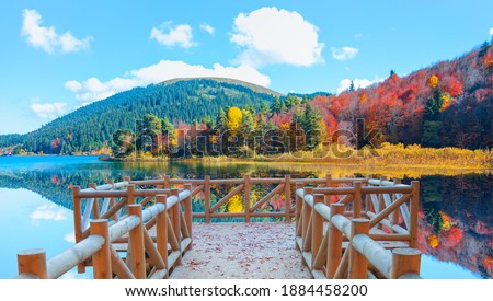 Shutterstock Puzzlepix