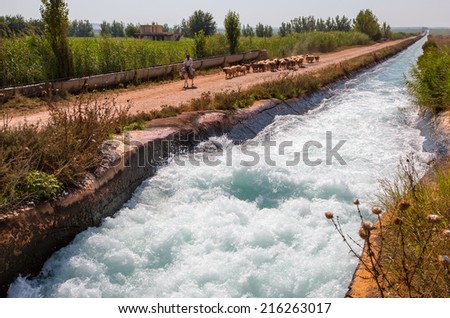 URFA - TURKEY - SEPTEMBER 06: A shepherd on a donkey leads his sheep down a road to pasture near water canal, September 06, 2014 in Urfa , Turkey