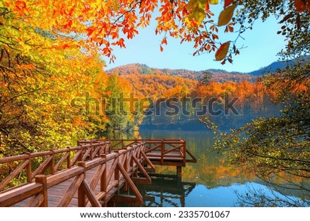 Similar – Image, Stock Photo Autumn landscape with lake and forest