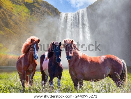 Image, Stock Photo Icelandic horse chestnut