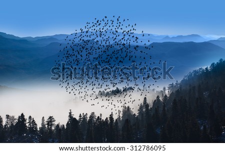 Birds over the mountain landmark