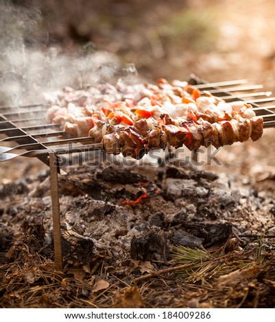 Closeup photo of  kebab on fire at forest