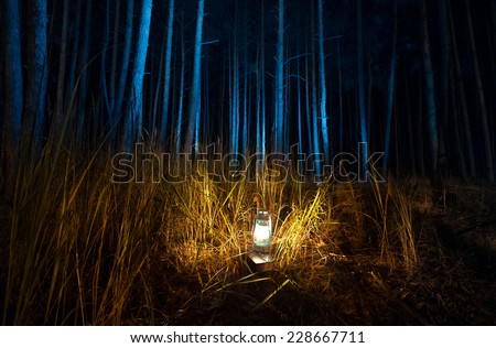 Beautiful view of dark forest at night lit by old gas lamp