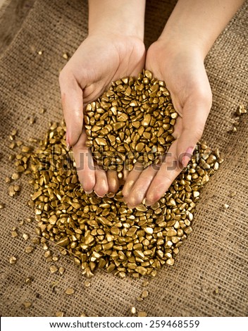 Conceptual photo of handful of golden nuggets