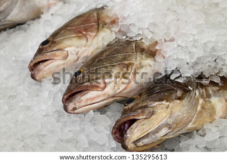 Three fresh fish covered in ice at a restaurant.