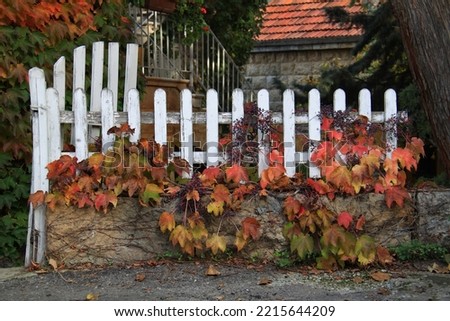 Similar – Image, Stock Photo old picket fence in sunlight