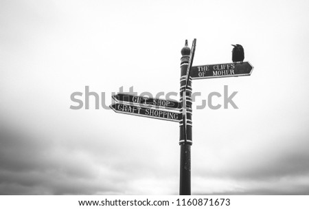 Similar – Image, Stock Photo Bird on road sign in front of Elbe river bank landscape