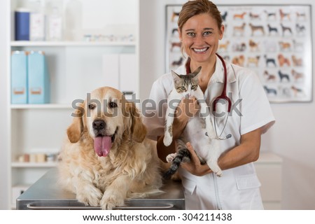 Veterinary consultation with his Golden Retriever dog and cat