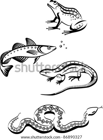 Black and White Symbols of Animals - Fish, reptiles and amphibians in logo stylization