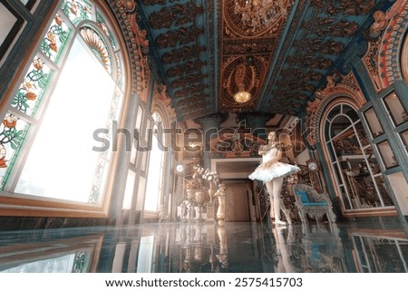 Similar – Image, Stock Photo Charming ballerina dancing in city