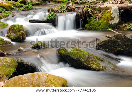 This is Chasteen Creek in the early spring in the Great Smoky Mountains of North Carolina