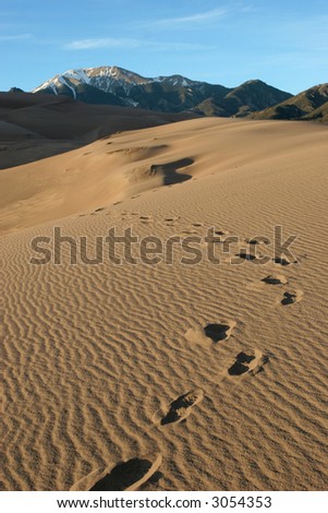 Footprints in the sand at Great Sand Dunes National Park