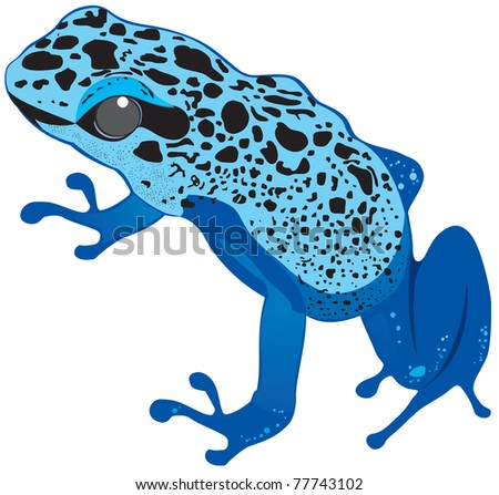 Vector Blue Frog - 77743102 : Shutterstock