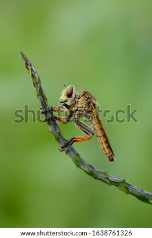 Shutterstock Puzzlepix