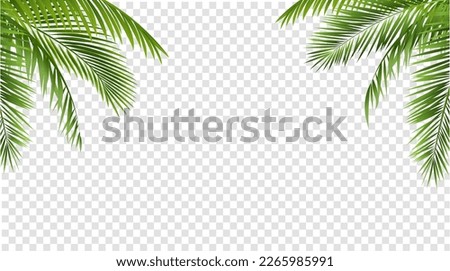 Green Palm Leaf Border Isolated And Transparent Background  With Gradient Mesh, Vector Illustration