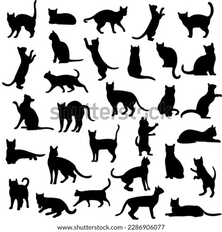 Black Cat Set Isolated White Background