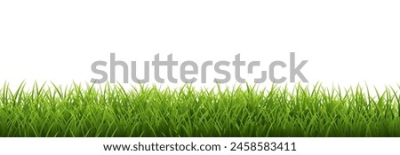 Grass Border Isolated White Background , Vector Illustration